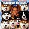 CHIENS DES NEIGES